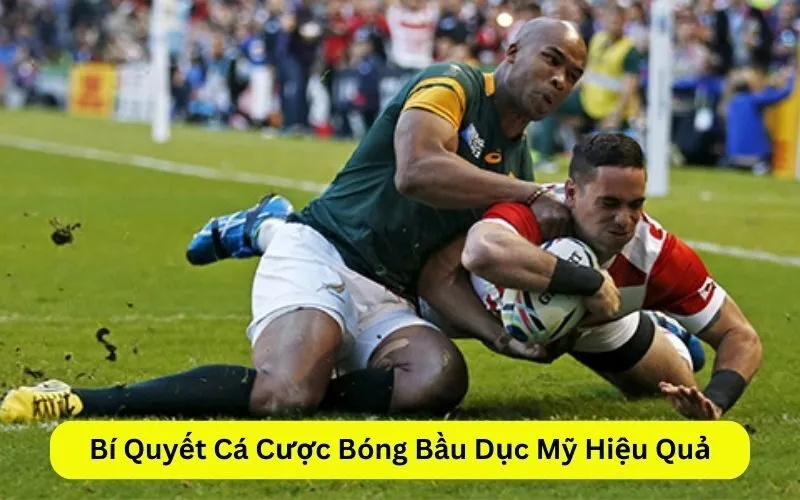 Bí Quyết Cá Cược Bóng Bầu Dục Mỹ Hiệu Quả