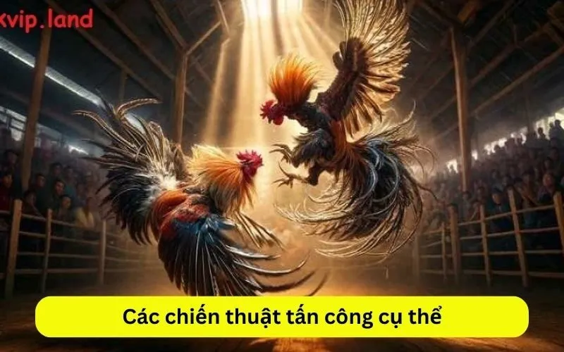 Các chiến thuật tấn công cụ thể