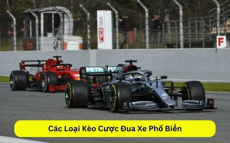 Các Loại Kèo Cược Đua Xe Phổ Biến