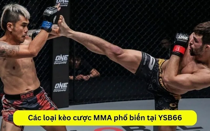 Các loại kèo cược MMA phổ biến tại YSB66