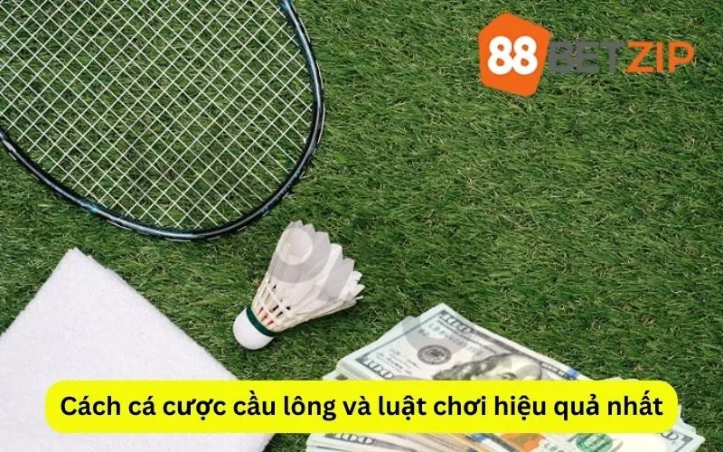 Cách cá cược cầu lông và luật chơi hiệu quả nhất