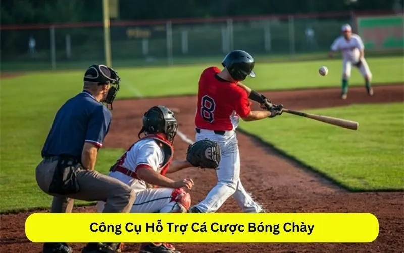 Công Cụ Hỗ Trợ Cá Cược Bóng Chày
