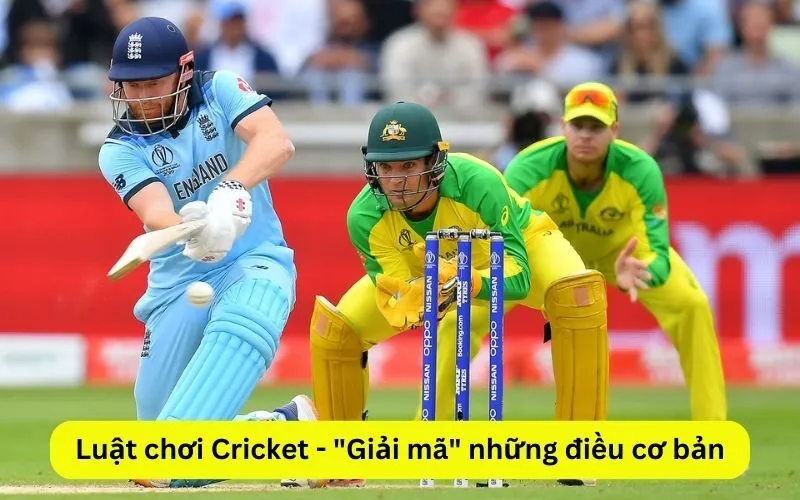 Luật chơi Cricket - Giải mã những điều cơ bản