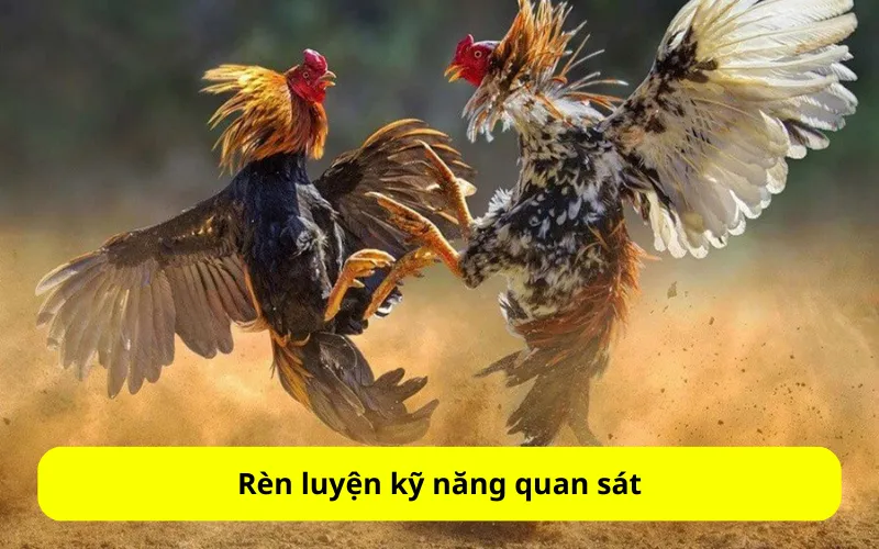 Rèn luyện kỹ năng quan sát