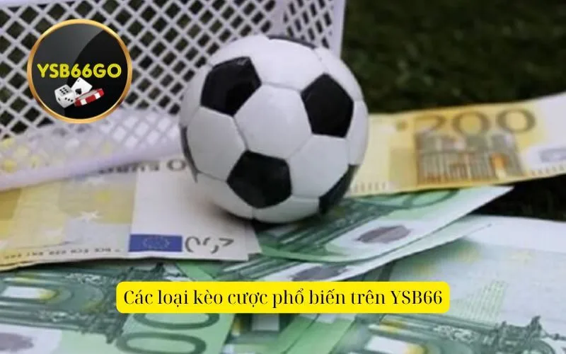 Các loại kèo cược phổ biến trên YSB66