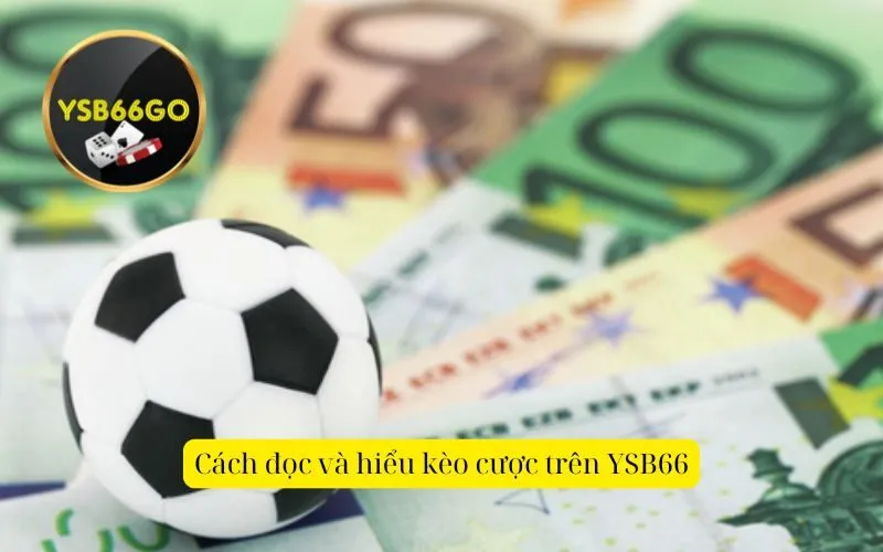 Cách đọc và hiểu kèo cược trên YSB66