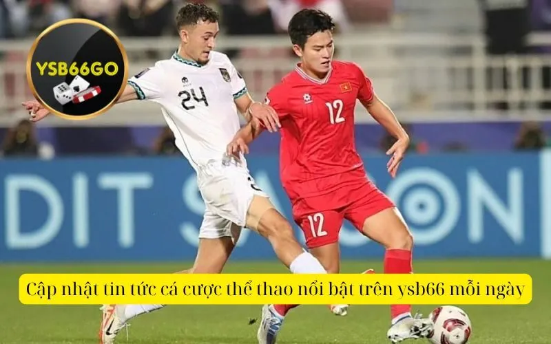 Cập nhật tin tức cá cược thể thao nổi bật trên ysb66 mỗi ngày