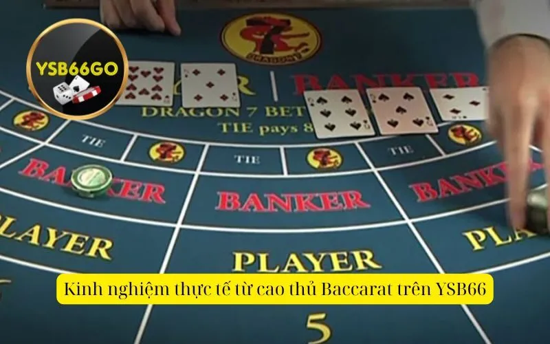 Kinh nghiệm thực tế từ cao thủ Baccarat trên YSB66