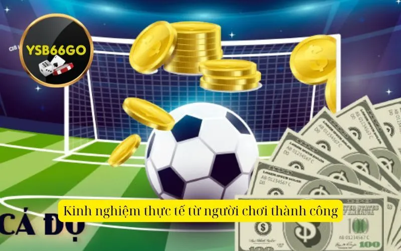 Kinh nghiệm thực tế từ người chơi thành công