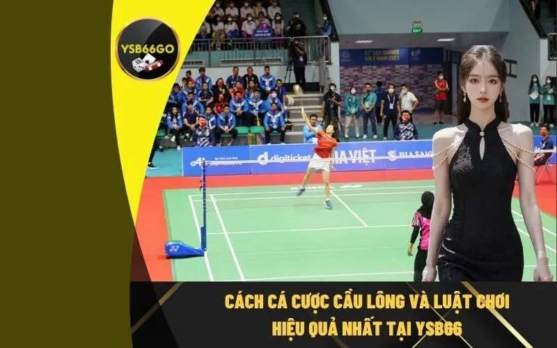 Cách cá cược cầu lông và luật chơi hiệu quả nhất