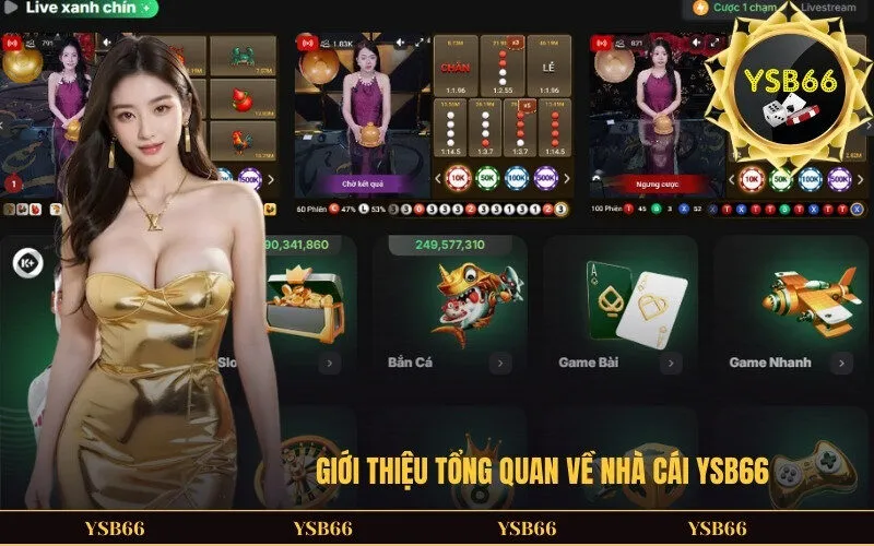 Giới thiệu tổng quan về nhà cái YSB66