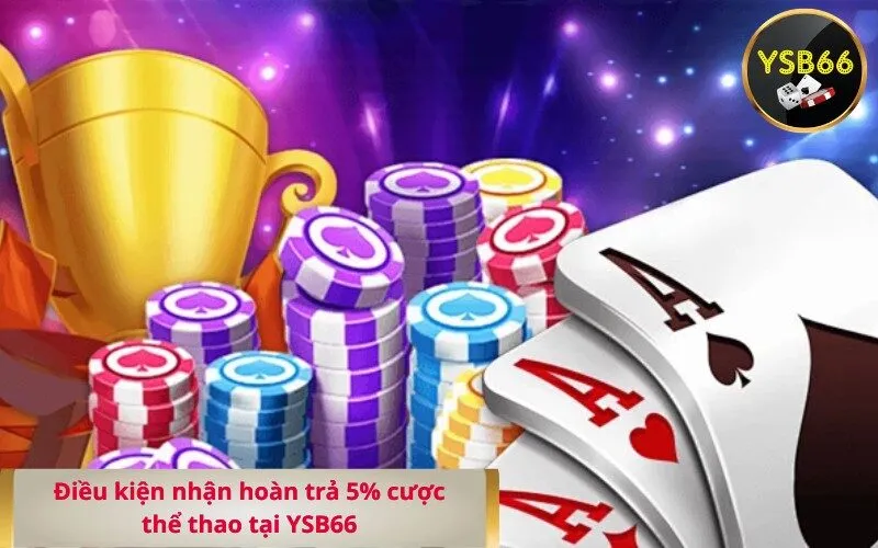 Điều kiện nhận hoàn trả 5% cược thể thao tại YSB66